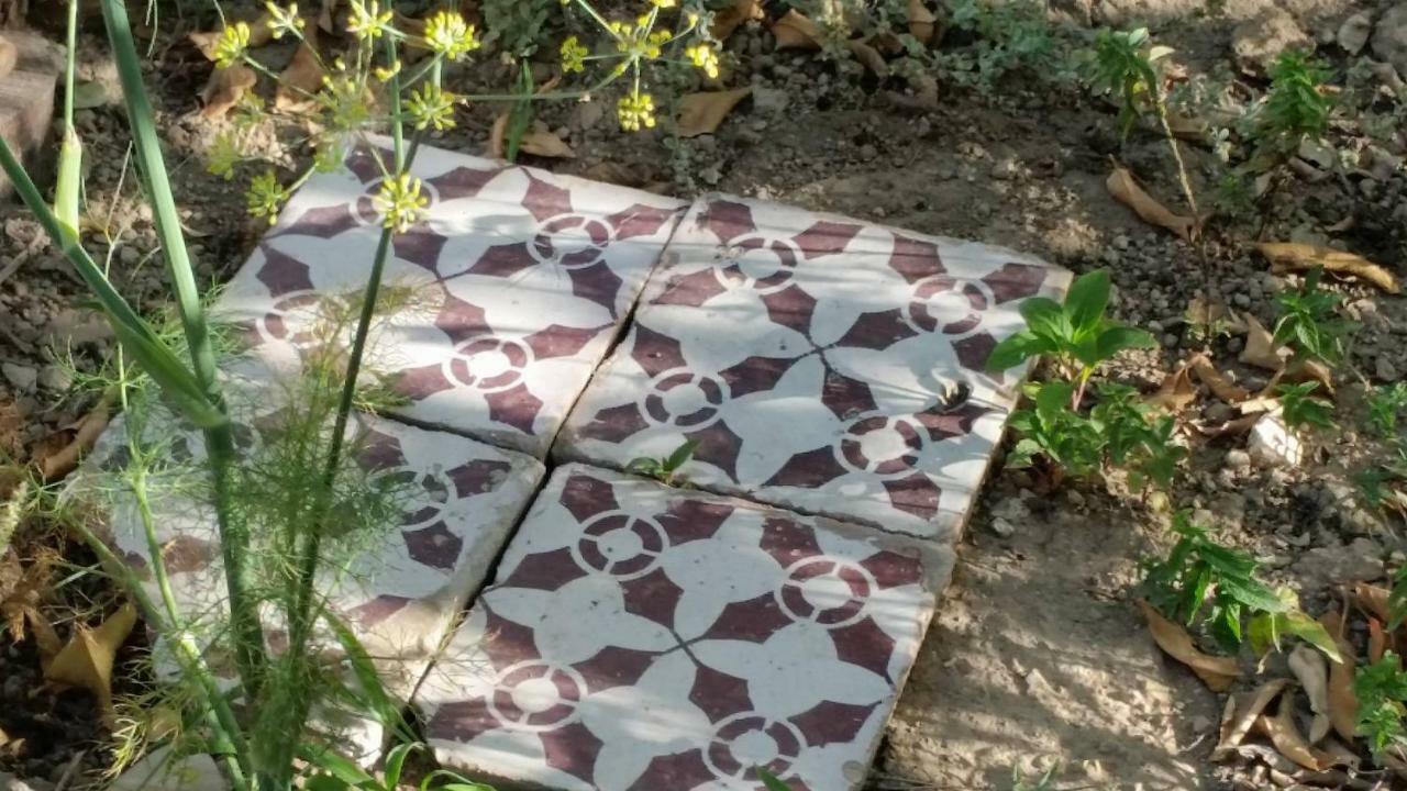 Villino L'Aranceto Sorrentino Panzió Meta Kültér fotó