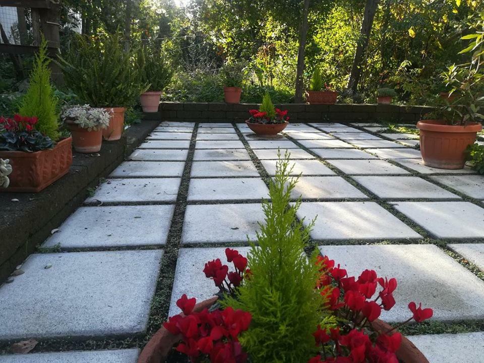 Villino L'Aranceto Sorrentino Panzió Meta Kültér fotó